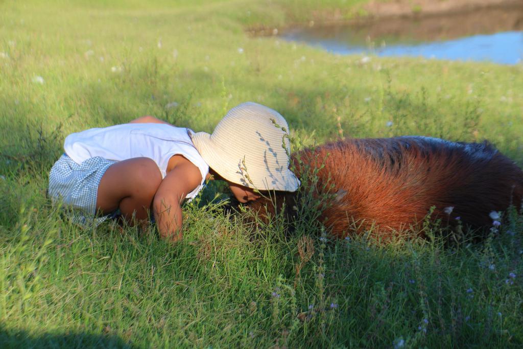 Estancia Turistica Finca Piedra Mal Abrigo エクステリア 写真