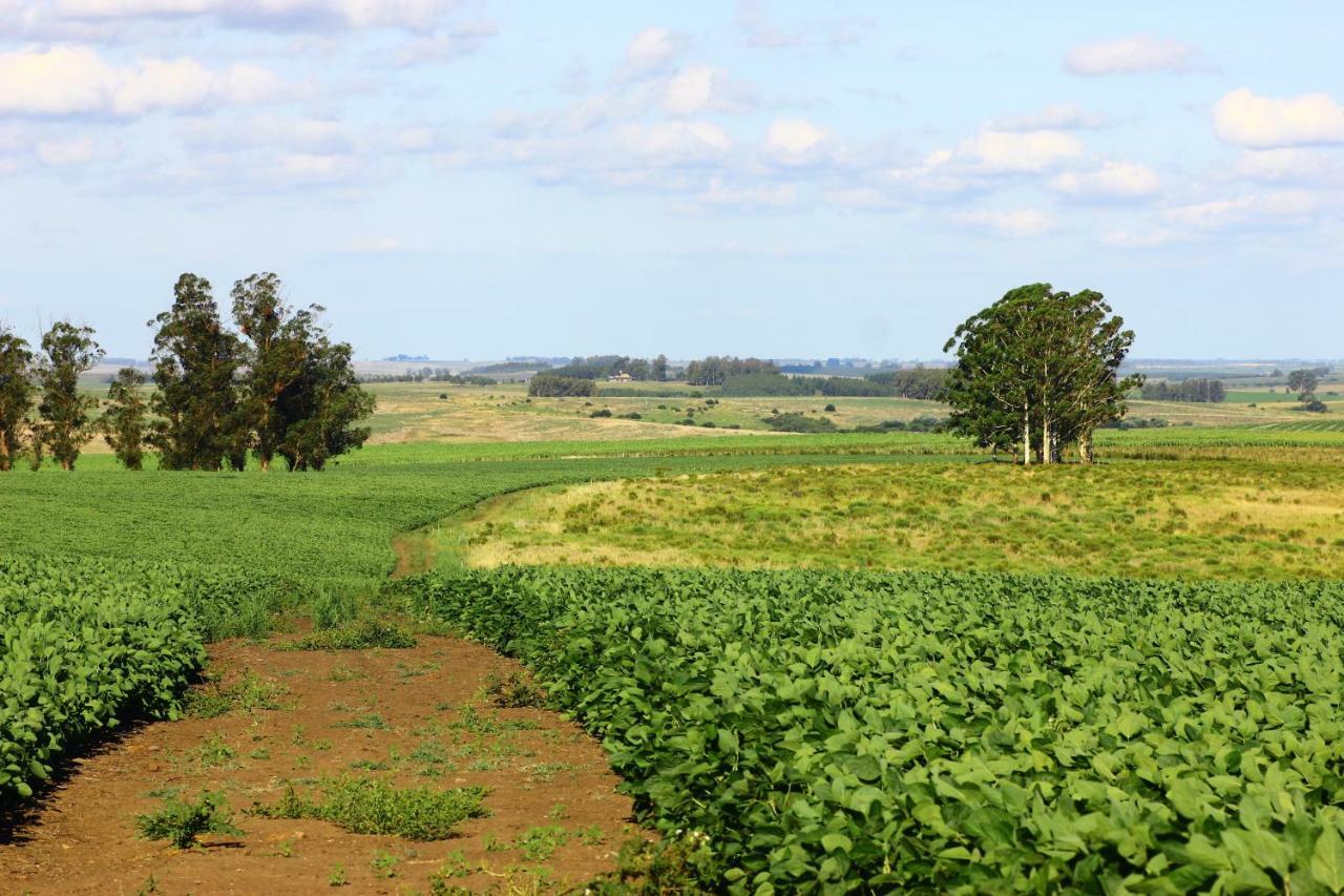 Estancia Turistica Finca Piedra Mal Abrigo エクステリア 写真